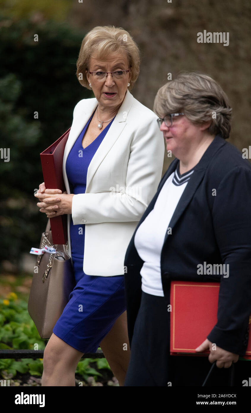 Downing Street, London, UK. 29th October 2019. Andrea Leadsom, Secretary of State for Business, Energy and Industrial Strategy, accompanied by Thérèse Coffey, Secretary of State for Work and Pensions, in Downing Street for weekly cabinet meetingDowning Street, London, UK. 29th October 2019.  Brandon Lewis, Minister of State for the Home Office in Downing Street for weekly cabinet meeting with Alun Cairns, Secretary of State for Wales. A general election date of 12th December is announced later in the day. Credit: Malcolm Park/Alamy Live News. Stock Photo