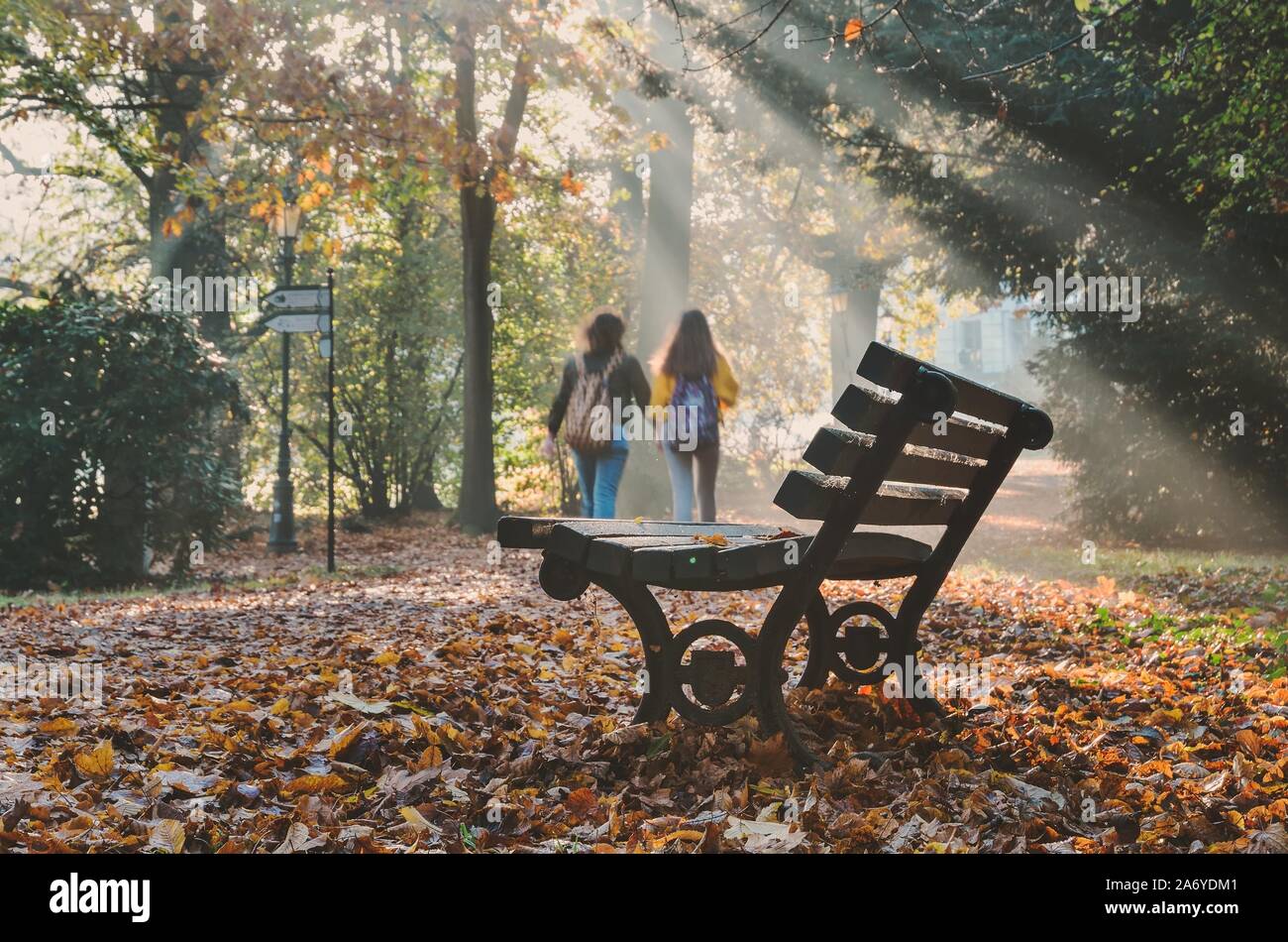 City park in the morning in the sunshine. Park bench with children going to school in the background in a beautiful morning scenery. Stock Photo
