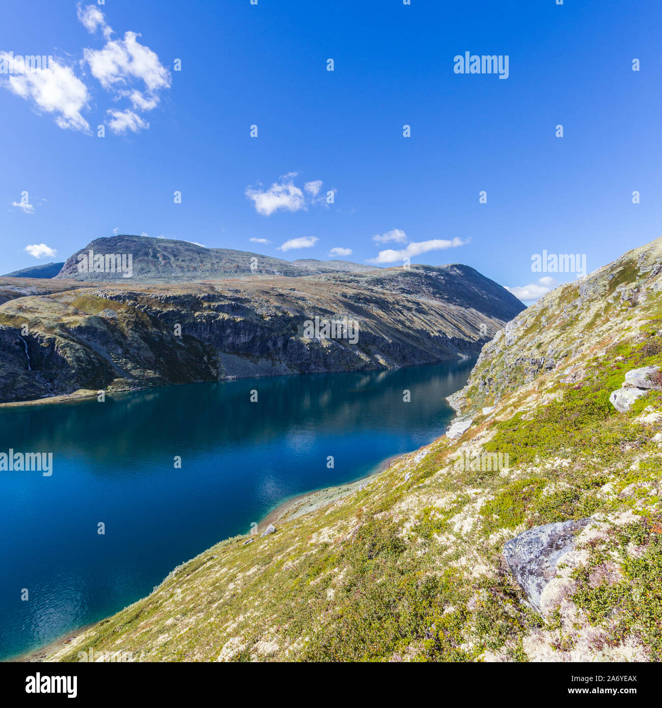 blue lake Rondvatnet in Rondane National Park Norway with reindeer moss Stock Photo