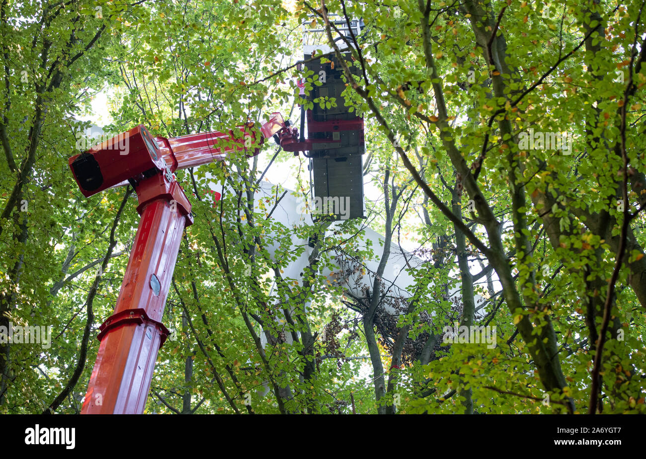 Porta Westfalica, Germany. 29th Oct, 2019. An accidental glider hangs in the treetops. On this day, the glider pilot is to be rescued using two cranes. The plane was to be forced to land in the forest area on 12.10. and got caught in the treetops at a height of 35 metres. In a spectacular rescue operation, the pilot and his companion could be freed unharmed in a helicopter after more than four hours. Credit: Friso Gentsch/dpa/Alamy Live News Stock Photo