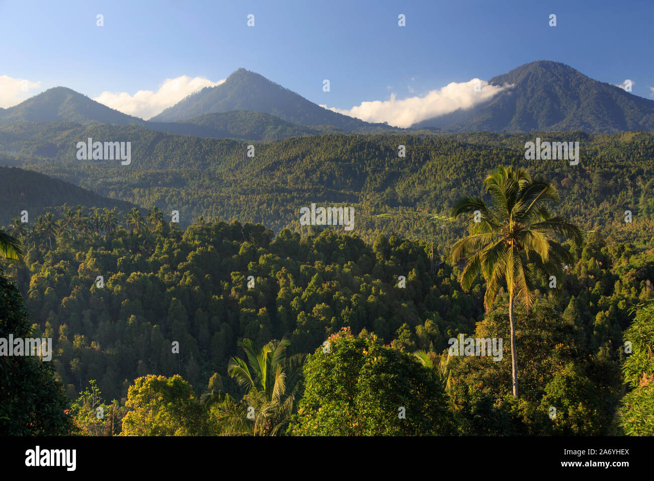 Indonesia, Bali, Central Mountains, Munduk, Mundu Town and mountain landscape seen from the popular hiking destination of Munduk Stock Photo