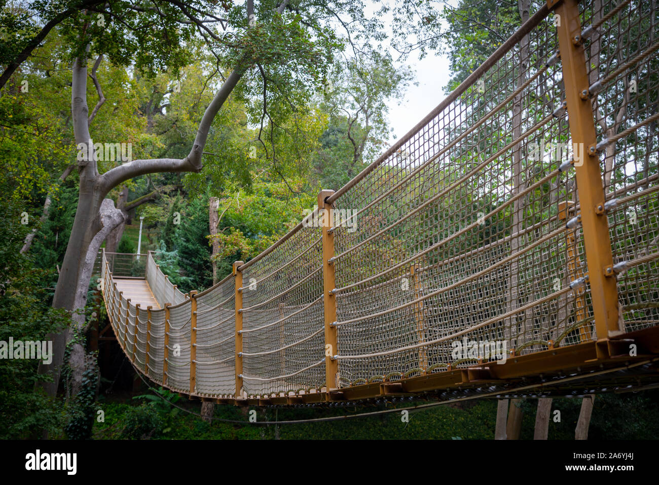 Rope bridge hanging among the trees, in the forest. Side view from outside Stock Photo