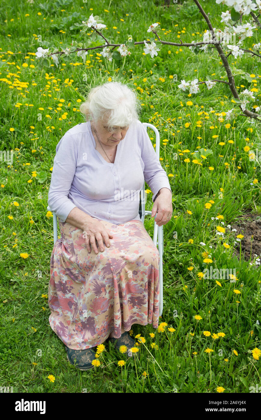 The grandmother in  garden under a blossoming apple-tree Stock Photo