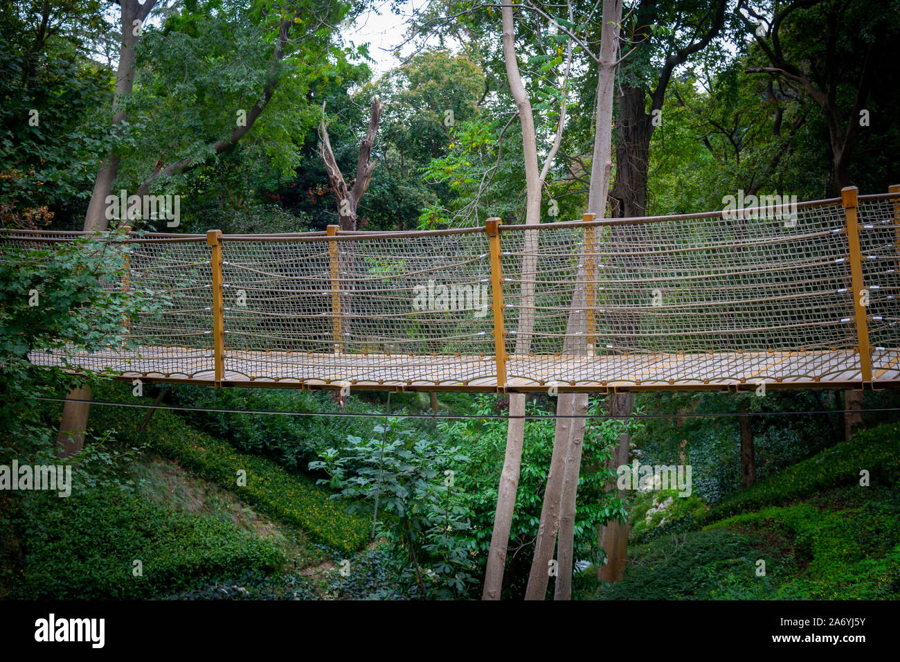 Forest rope bridge hike hires stock photography and images Alamy