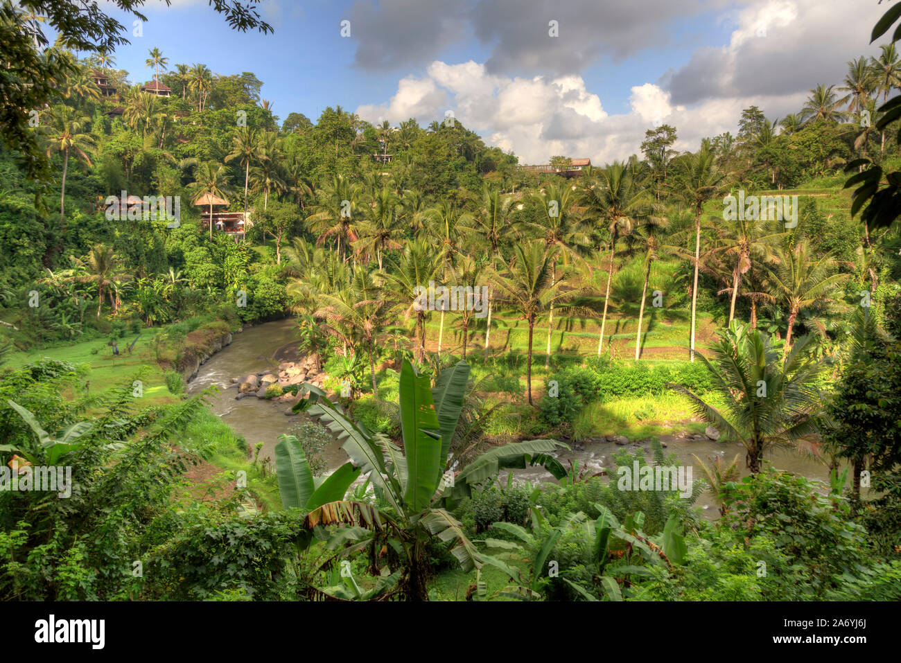 Indonesia, Bali, Ubud, Sayan Valley and Ayung River Stock Photo