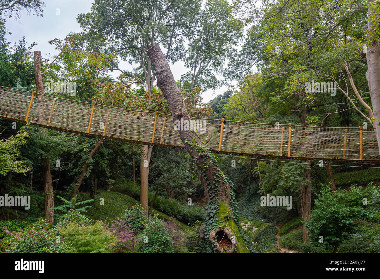 Forest rope bridge hike hires stock photography and images Alamy