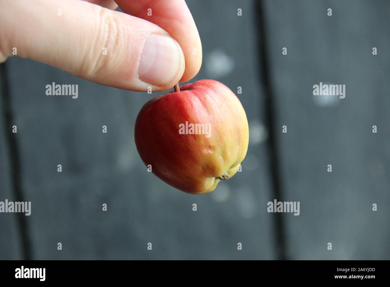 Hand holds apple hi-res stock photography and images - Alamy