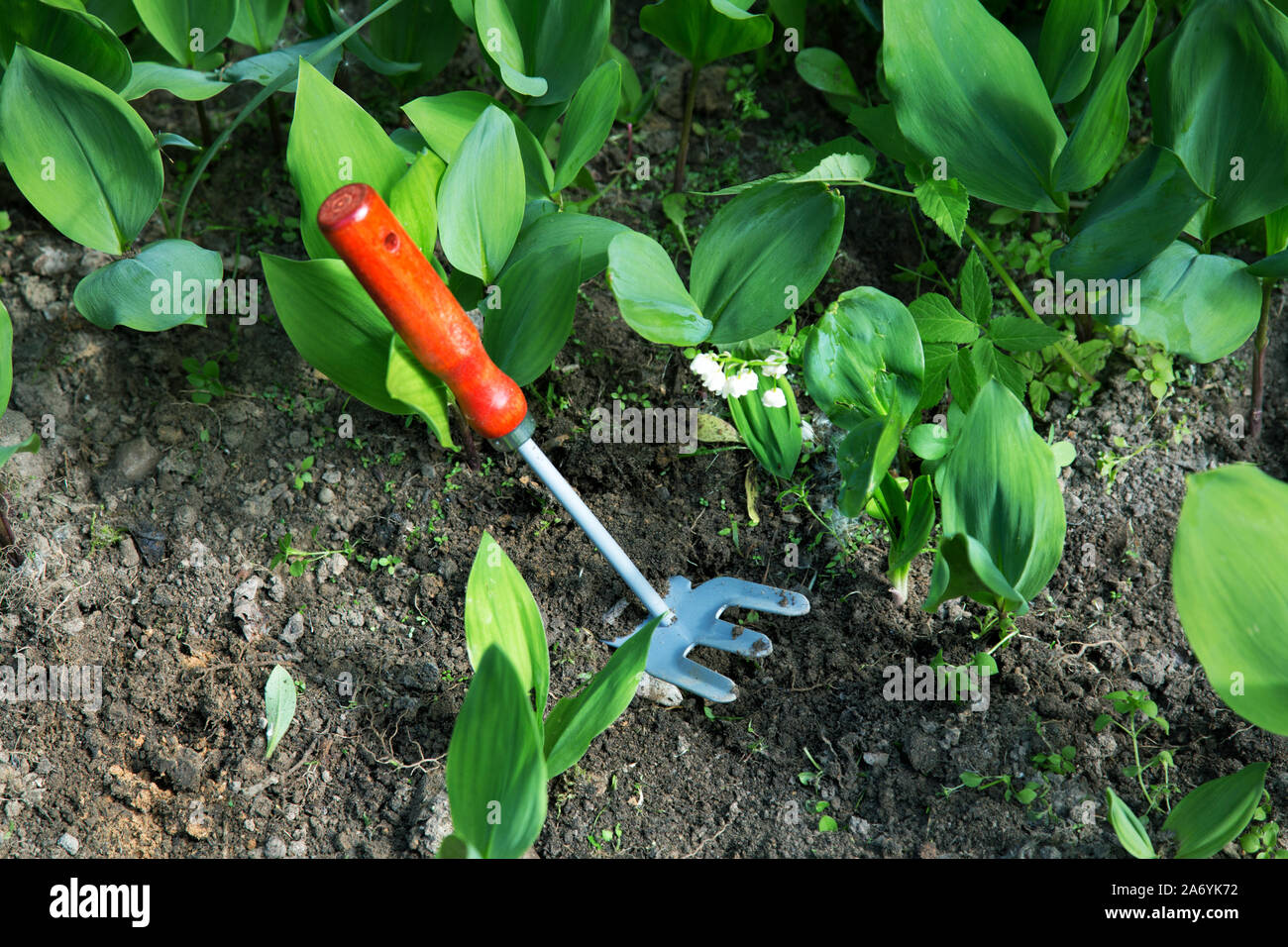 little hoe in the ground in a bed of flowers Stock Photo