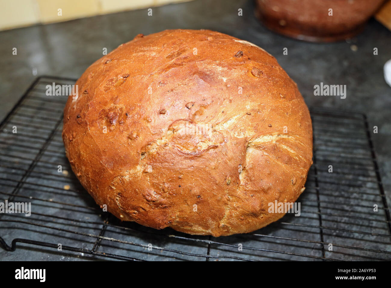 Loaf of walnut bread photographed on a rack from above Stock Photo Alamy