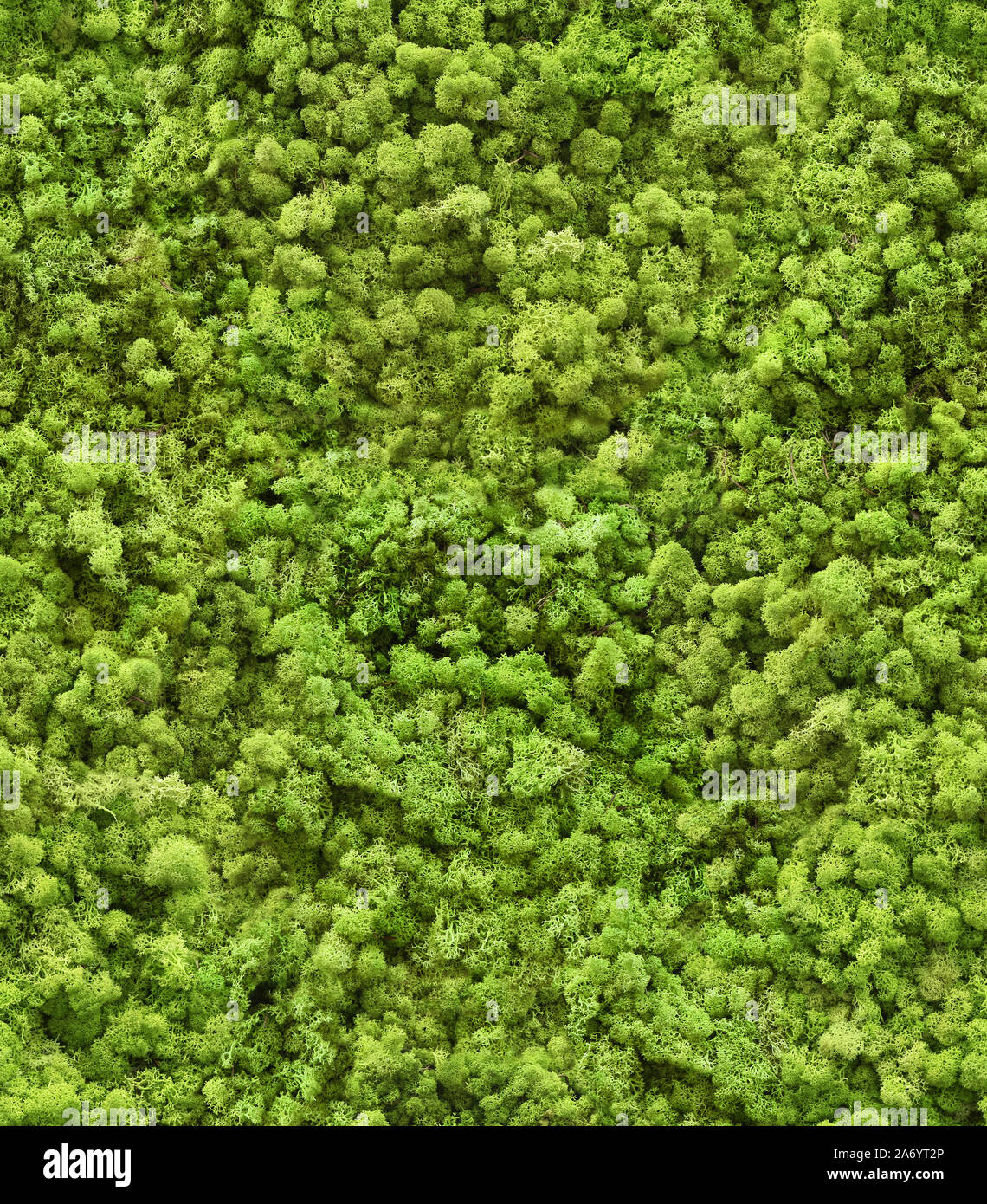 Seamless Texture Of Wall Decorated With Flotal Moss Wroclaw Poland Stock Photo Alamy