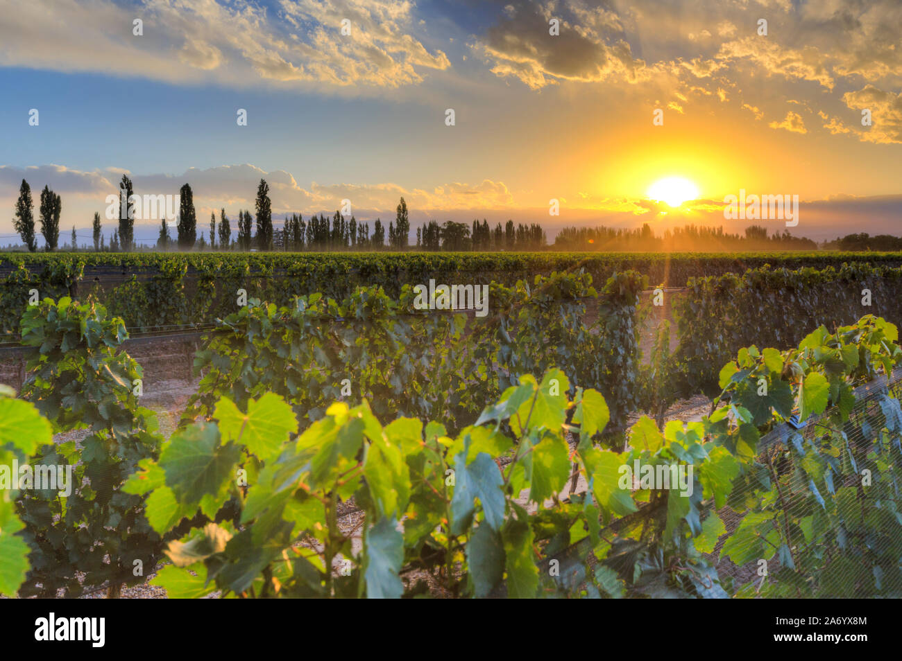 Page 3 Lujan High Resolution Stock Photography And Images Alamy