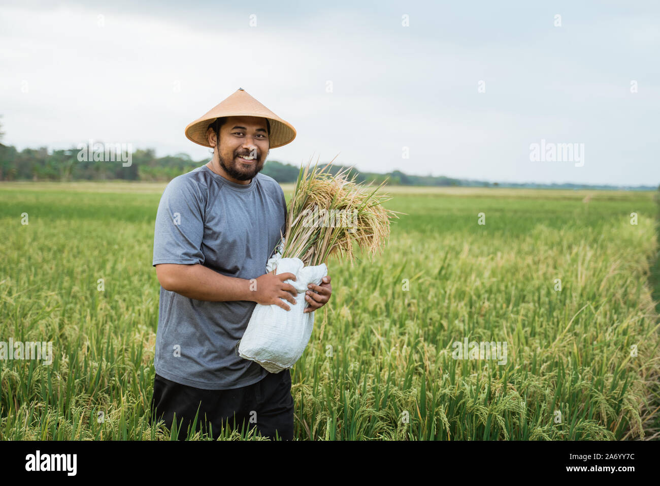 happy farmer after harvesting his rice in the field smiling Stock Photo ...