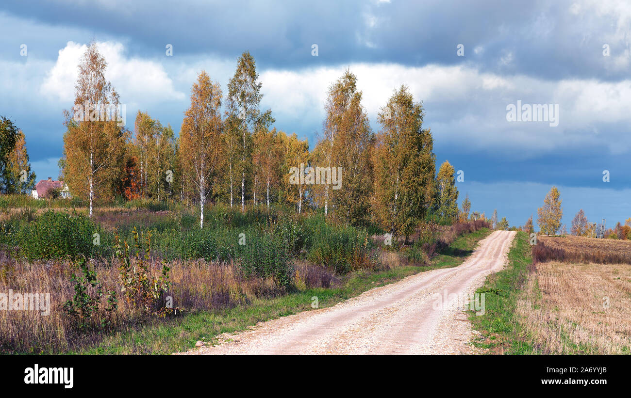 Wooden path among the reeds on the lake Stock Photo - Alamy