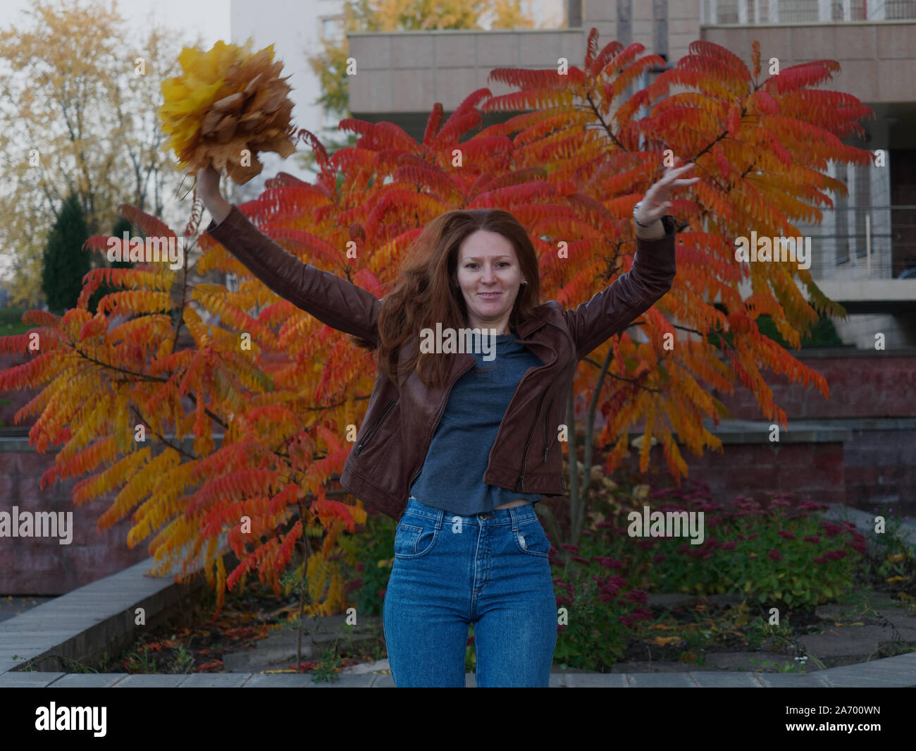 A red-haired girl with long curly hair jumps up and swirls holding yellowed autumn maple leaves in her hand. Behind the young girl, a bright orange ac Stock Photo