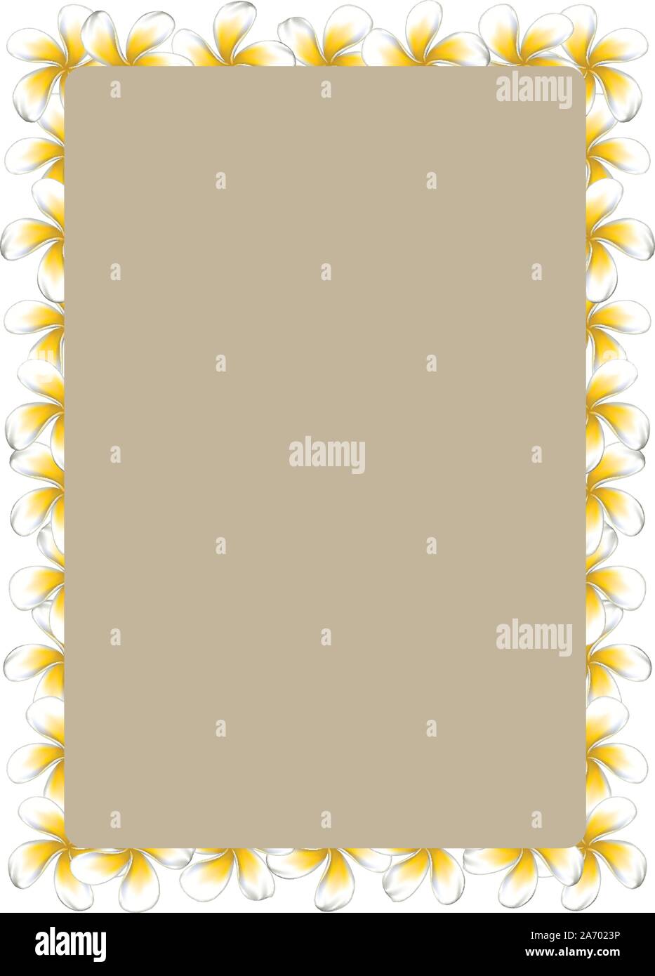 Floral frame made from white plumeria, frangipani flowers Stock Vector ...