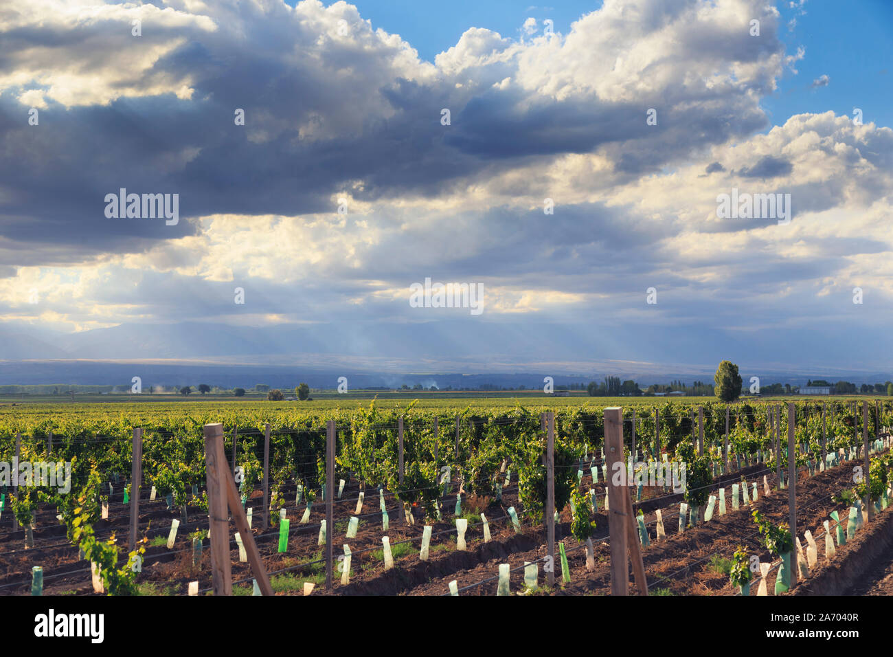 Page 3 Lujan High Resolution Stock Photography And Images Alamy