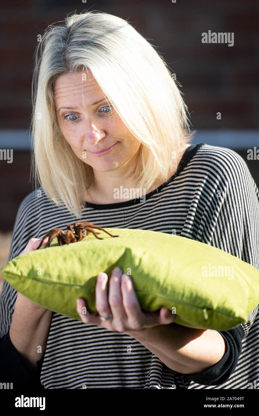 Zoologist Carrie Alcock with Boris, her Goliath birdeater spider at her home in Cheadle, Staffordshire ahead of the National Pet Show at the NEC on November 2 and 3. PA Photo. Picture date: Tuesday October 29, 2019. Photo credit should read: Jacob King/PA Wire Stock Photo