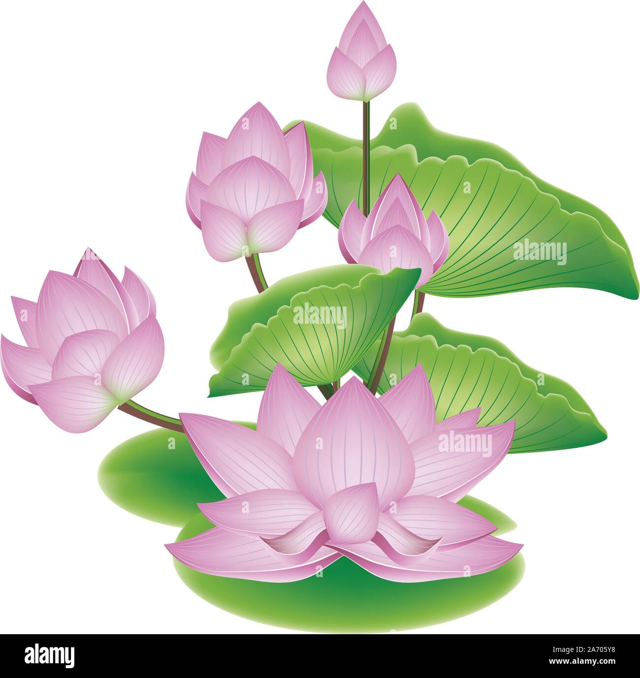 Big leaves flowers pink Stock Vector Images - Alamy