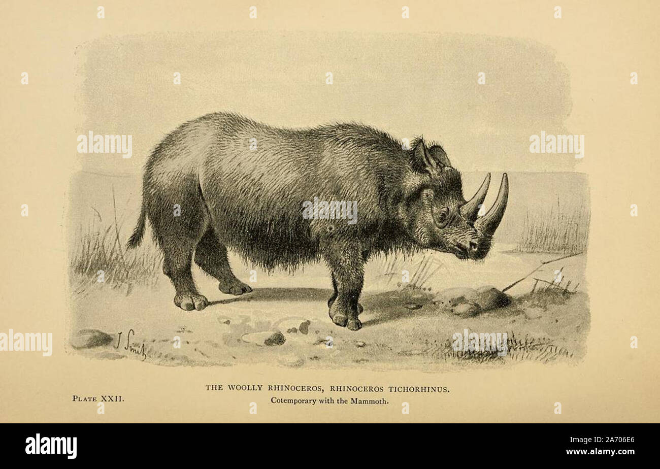 vintage illustration of an extinct animal Stock Photo - Alamy