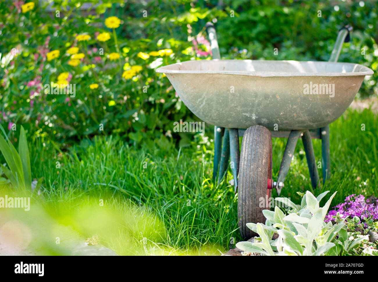 Green plants and metal work hi-res stock photography and images - Alamy