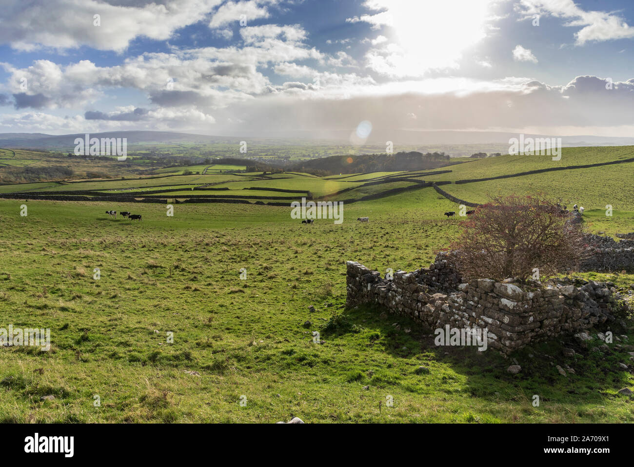 Ingleton Fells Rolling fells in North Yorkshire. The Ingleton Glens are an SSSI Stock ...
