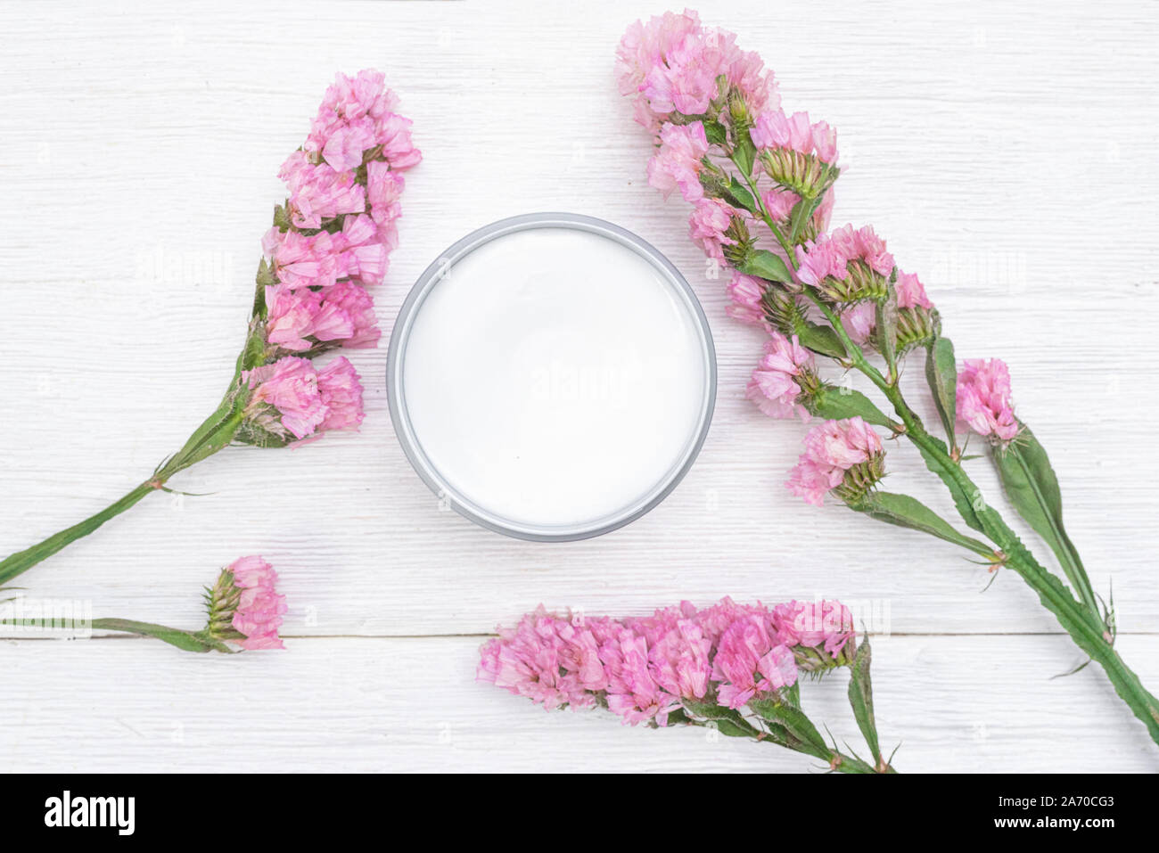 Statica latifolia cosmetic cream in a jar on white background. Organic cosmetic concept. Stock Photo