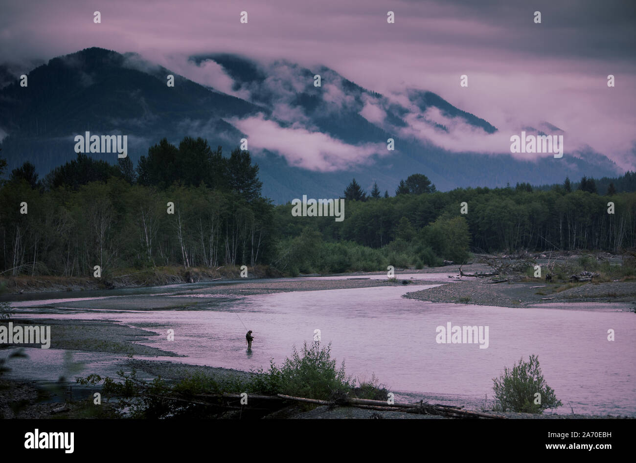 Fly fisherman on the Hoh River on the west side of Olympic National Park. Stock Photo