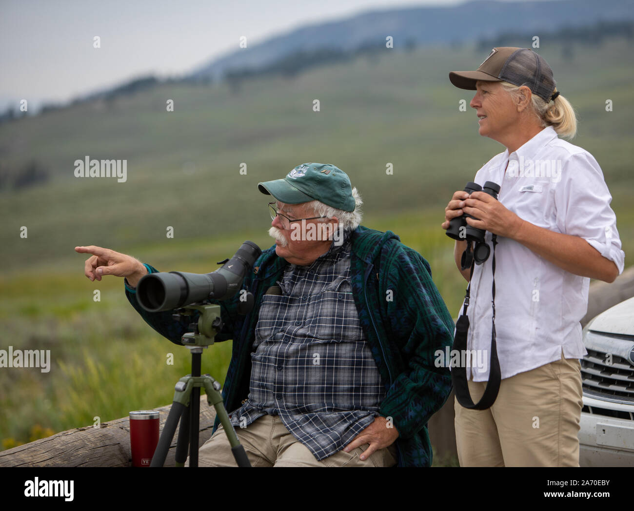 Tourist spotting bison and wolves in the Lamar Valley, of Yellowstone National Park Stock Photo