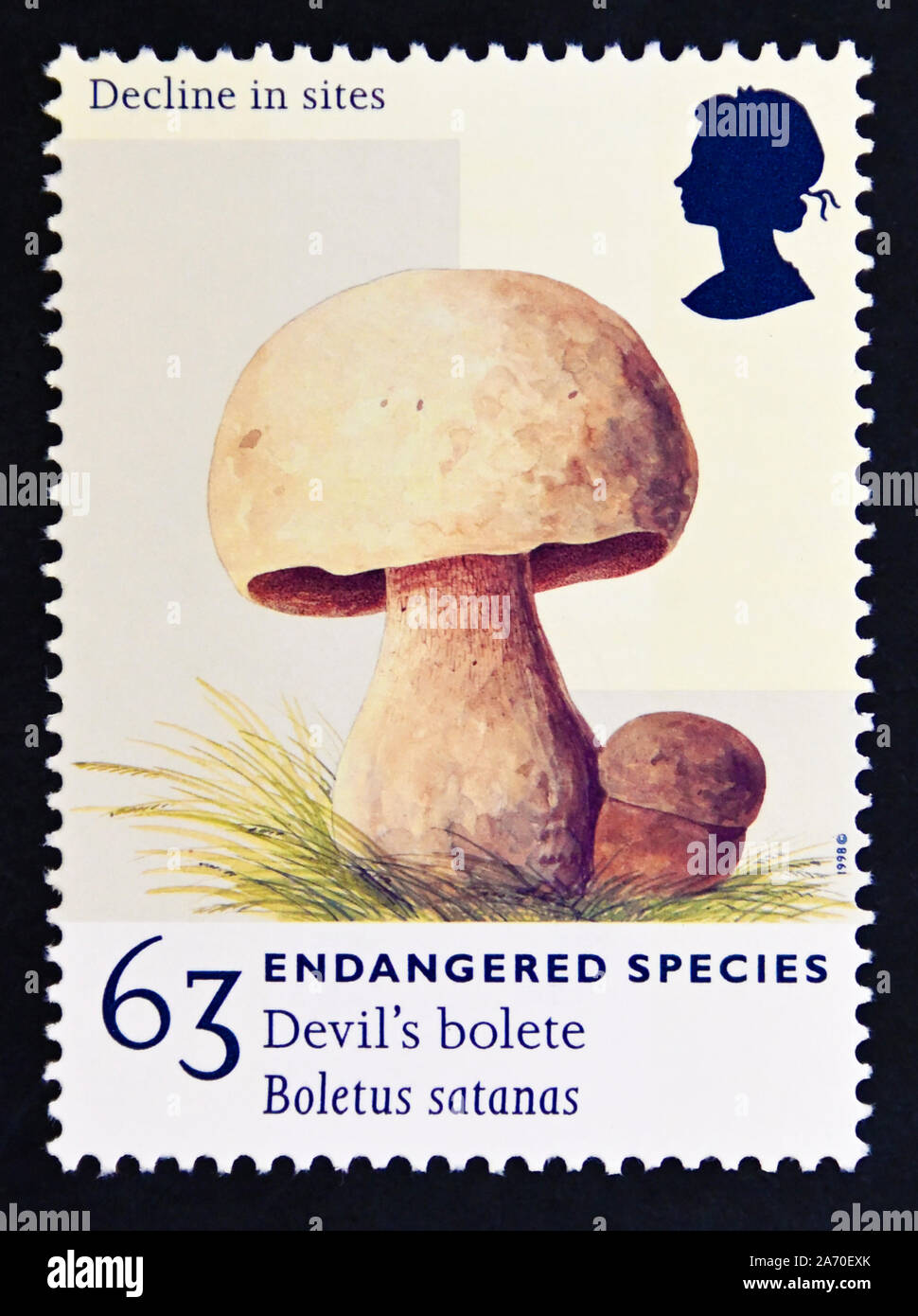 Postage stamp. Great Britain. Queen Elizabeth II. Decline in sites. Endangered species. Devil's bolete, Boletus satanas. 63p. Stock Photo