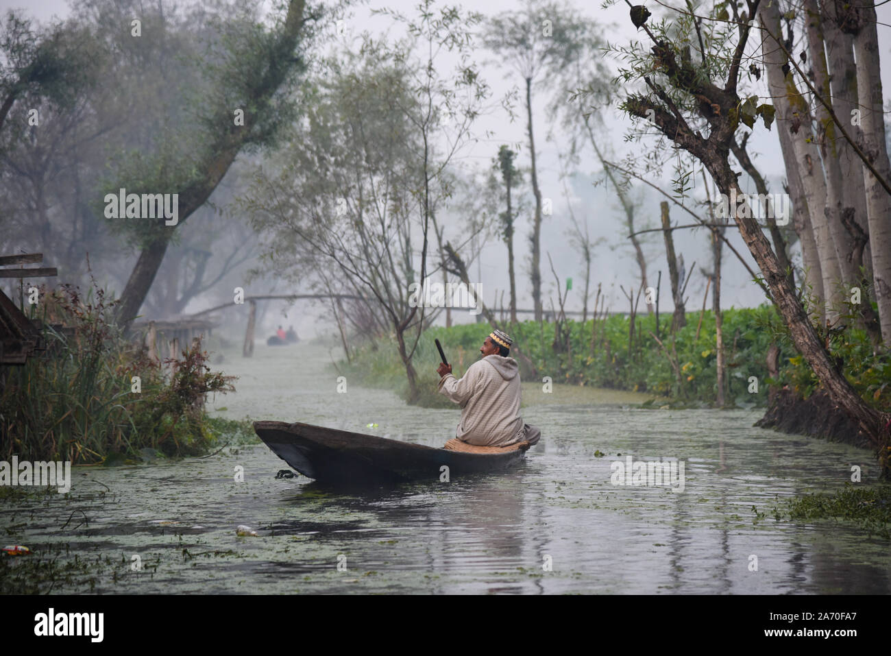 A Kashmiri boatman rows his boat early morning in the interiors of Dal Lake.Kashmir has been divided between India and Pakistan since their partition and independence from Britain in 1947. The disputed region is claimed in full by both sides, which have fought three wars over it. Stock Photo