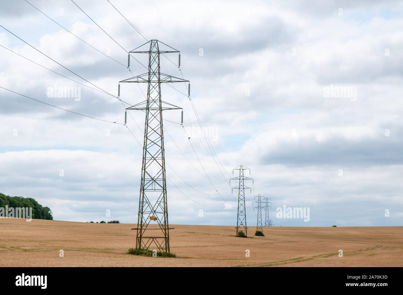 electricity pylons in Hampshire farmland crossing South Downs Way near