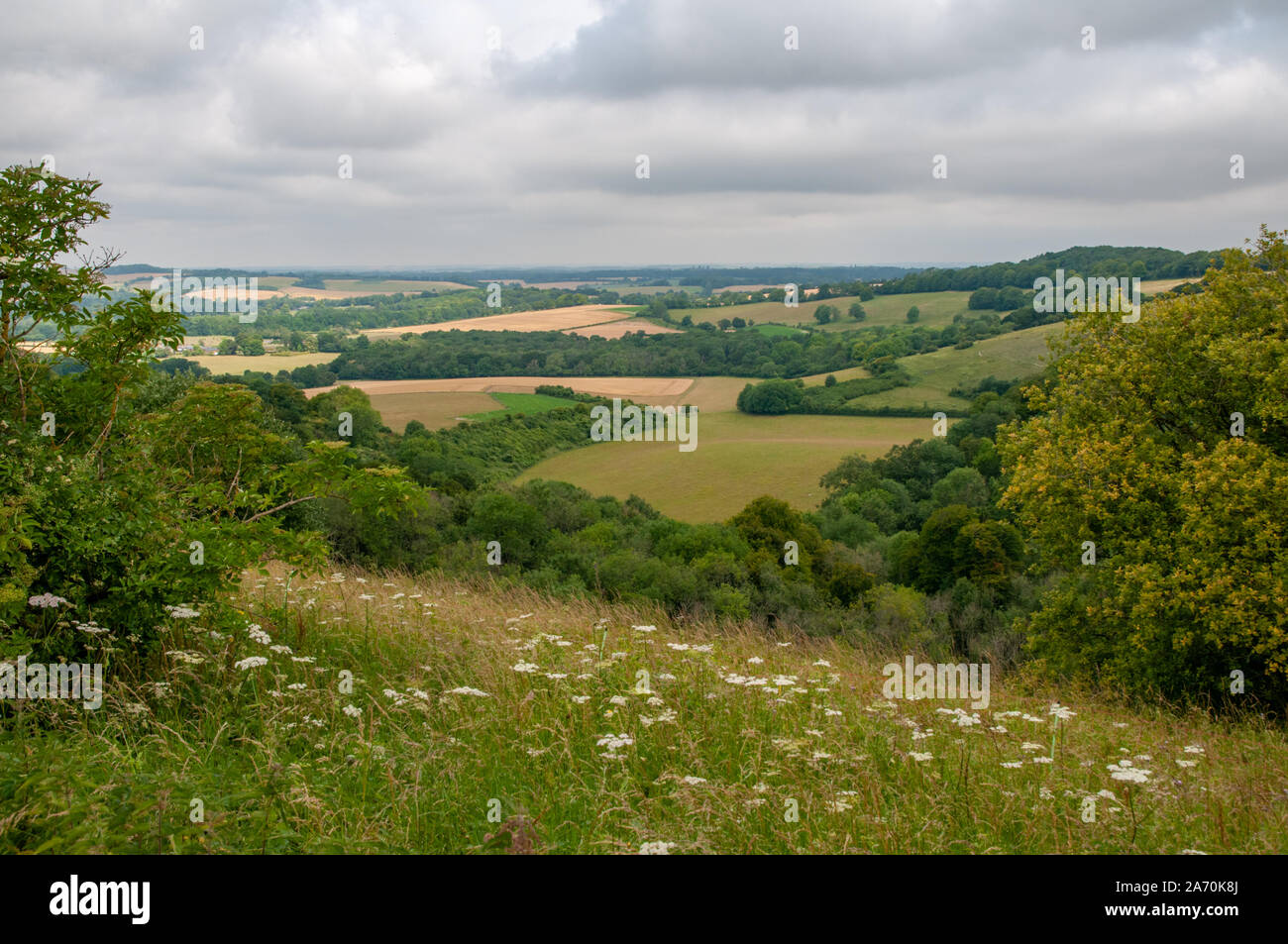 Rolling hills and farmland seen from a viewpoint on South Downs Way near Old Winchester Hill in Hampshire, England. Stock Photo