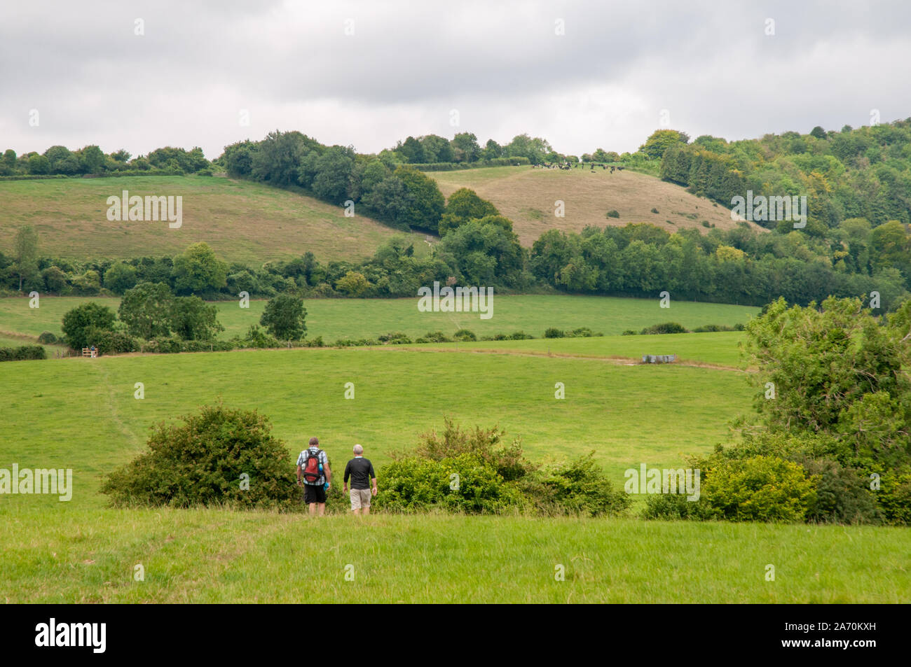 Two middle-aged men walking on South Downs Way in the Hampshire countryside east of Winchester towards Beacon Hill National Nature Reserve, England. Stock Photo