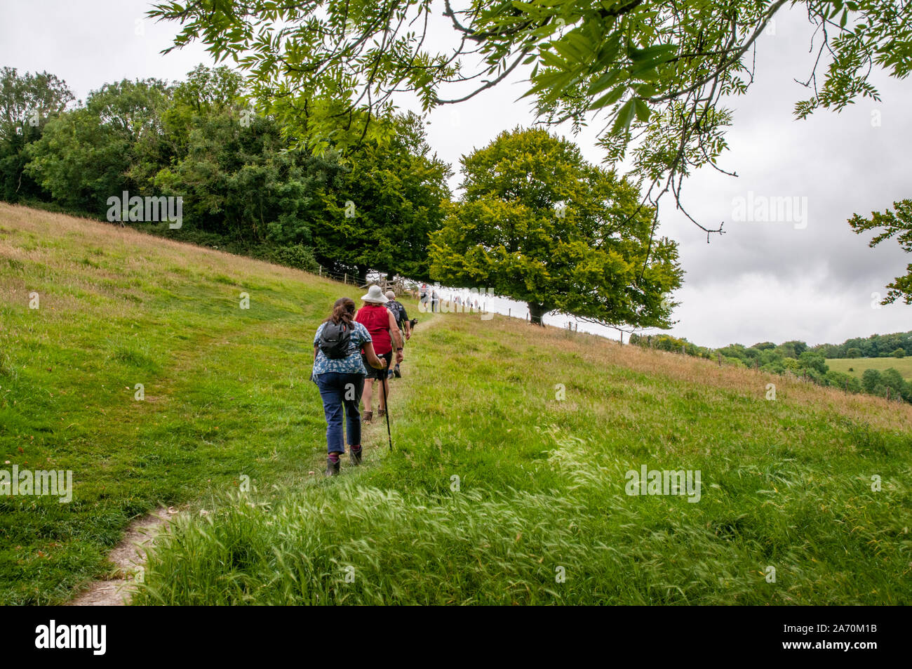 A group of ramblers walking up a steep hill in the scenic Hampshire countryside near Beacon Hill National Nature Reserve and Winchester, England. Stock Photo