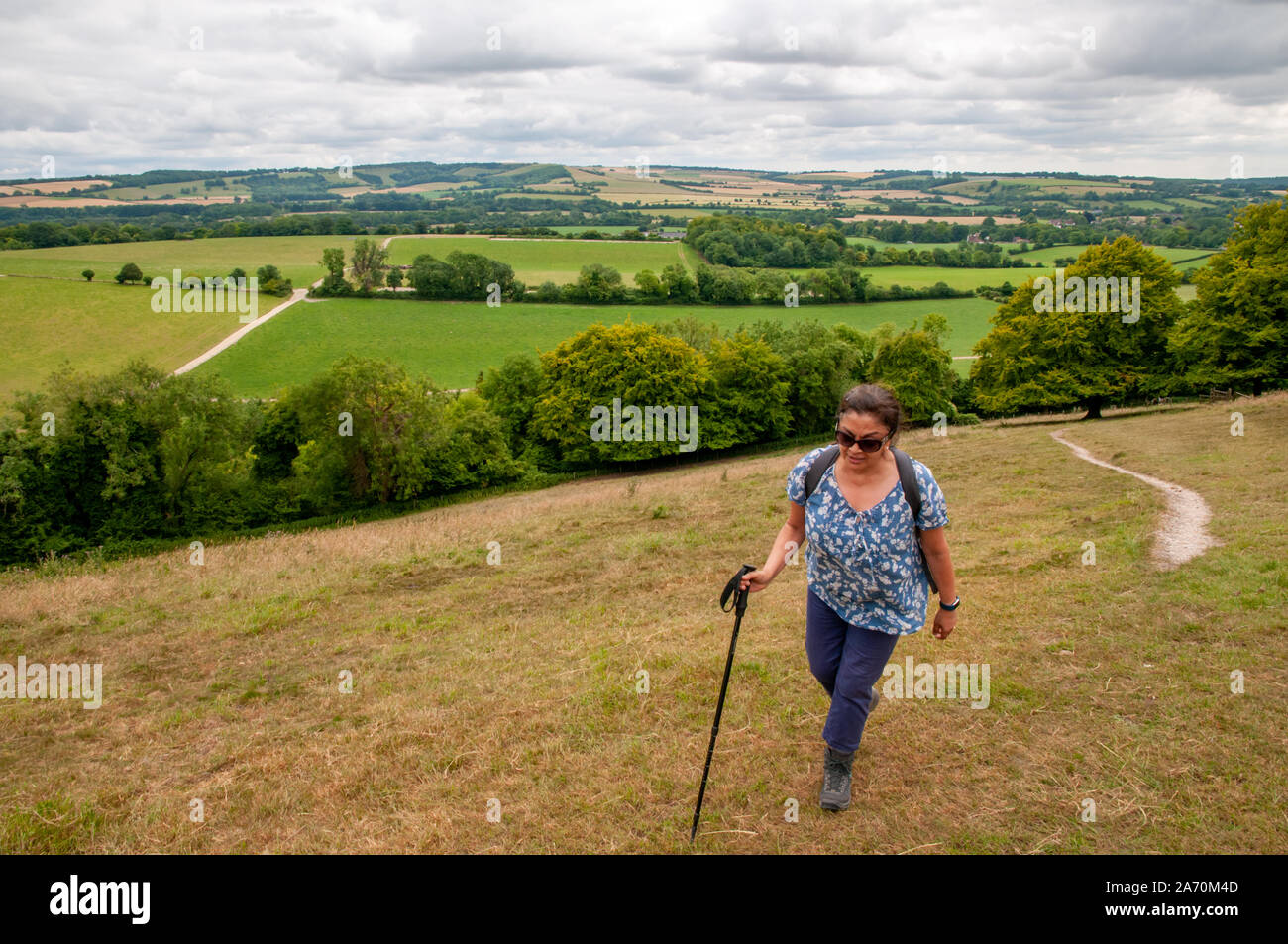 Middle-aged female rambler walking up a steep hillside in the Hampshire countryside along the South Downs Way east of Winchester, England. Stock Photo