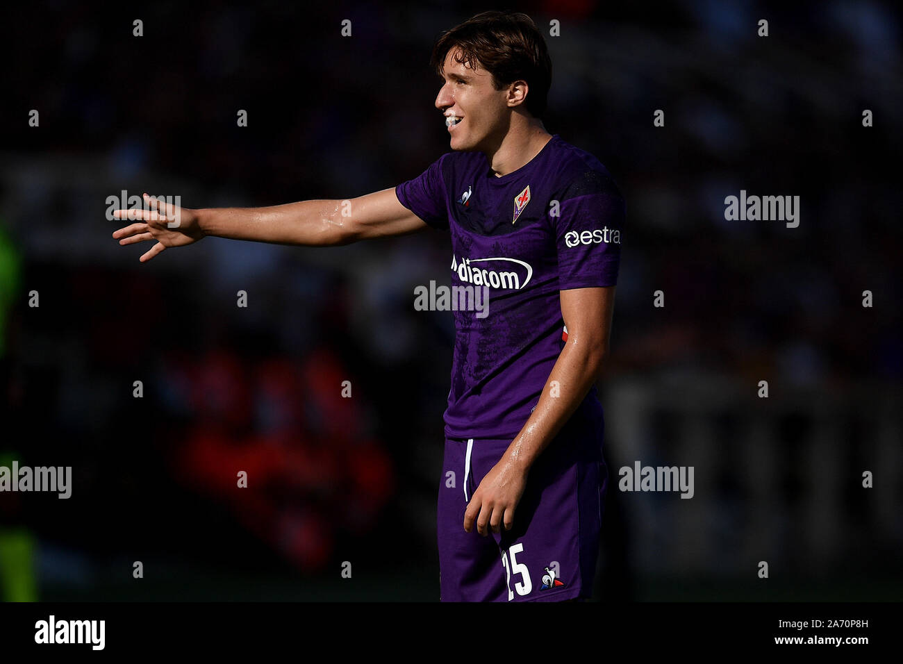 Calcio a Firenze: ACF Fiorentina, Stadio Artemio Franchi, Storia dell'ACF  Fiorentina, Colori e simboli dell'ACF Fiorentina