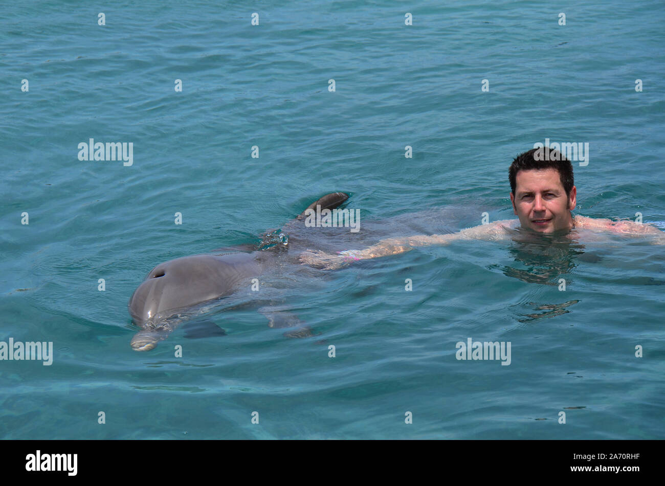 Dolphin therapy in adults or exhibition Stock Photo