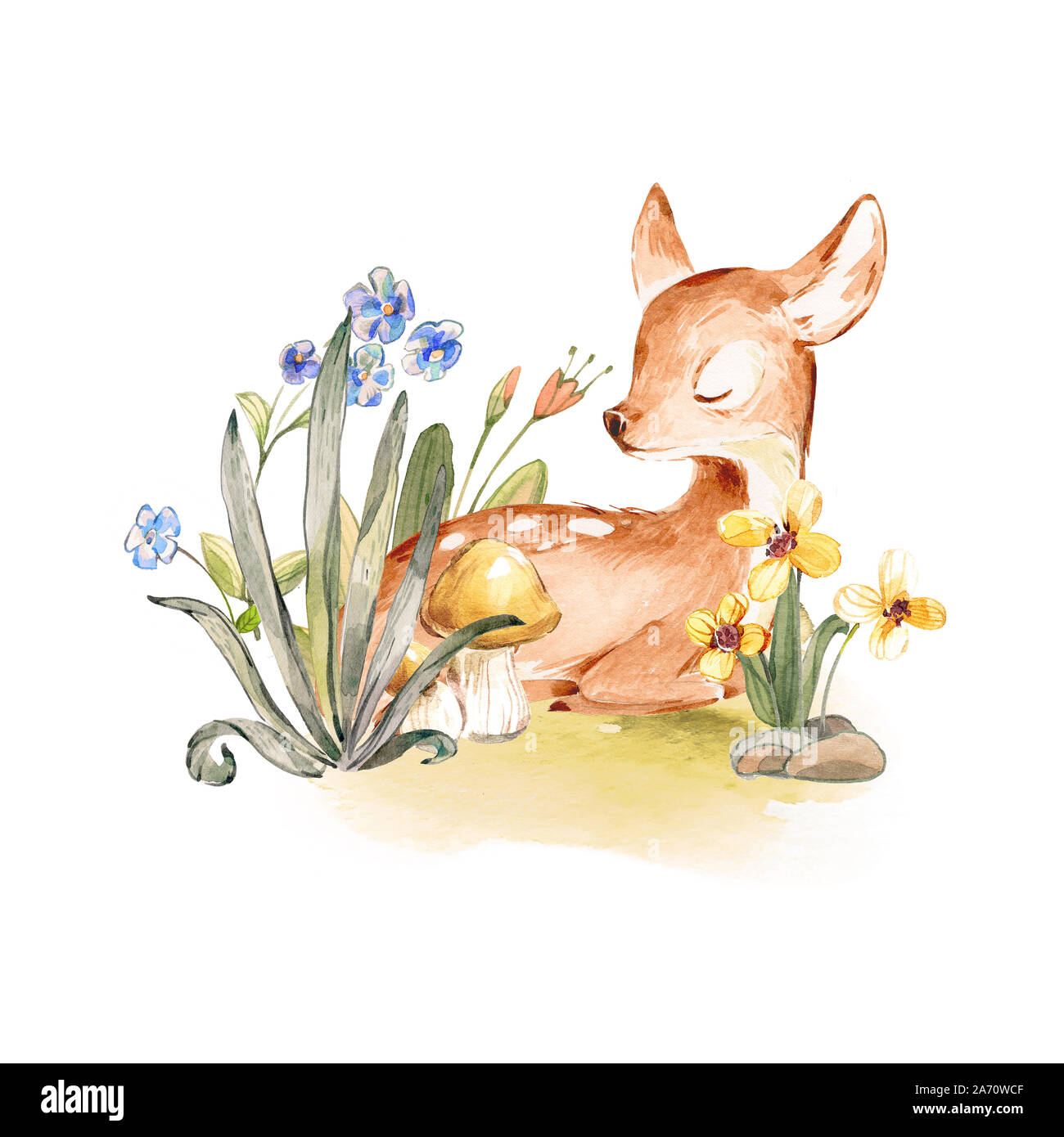 Baby Deer Sleeping High Resolution Stock Photography And Images Alamy Baby Deer Sleeping High Resolution Stock Photography And Images Alamy