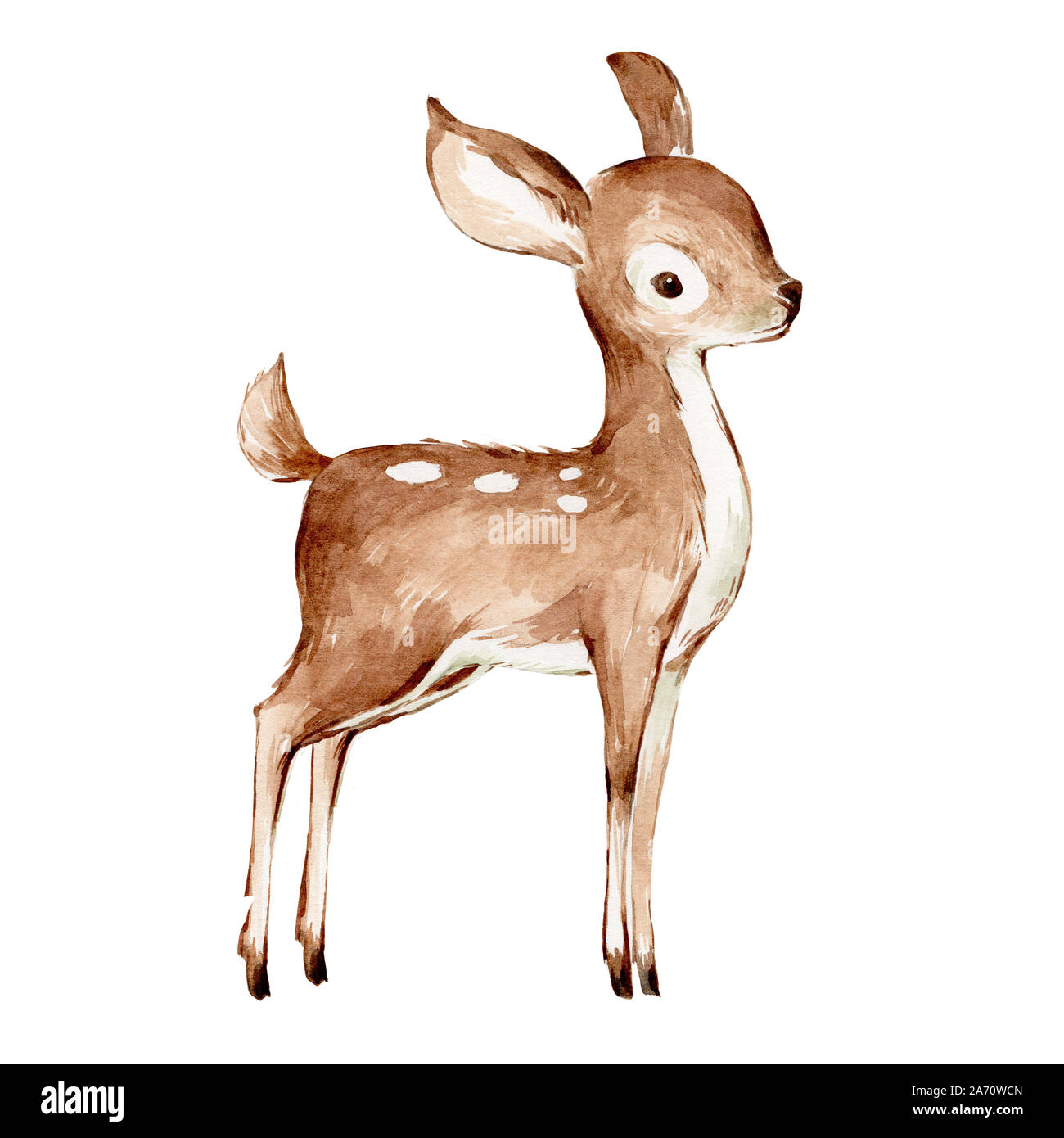 Baby deer drawing hi-res stock photography and images - Alamy