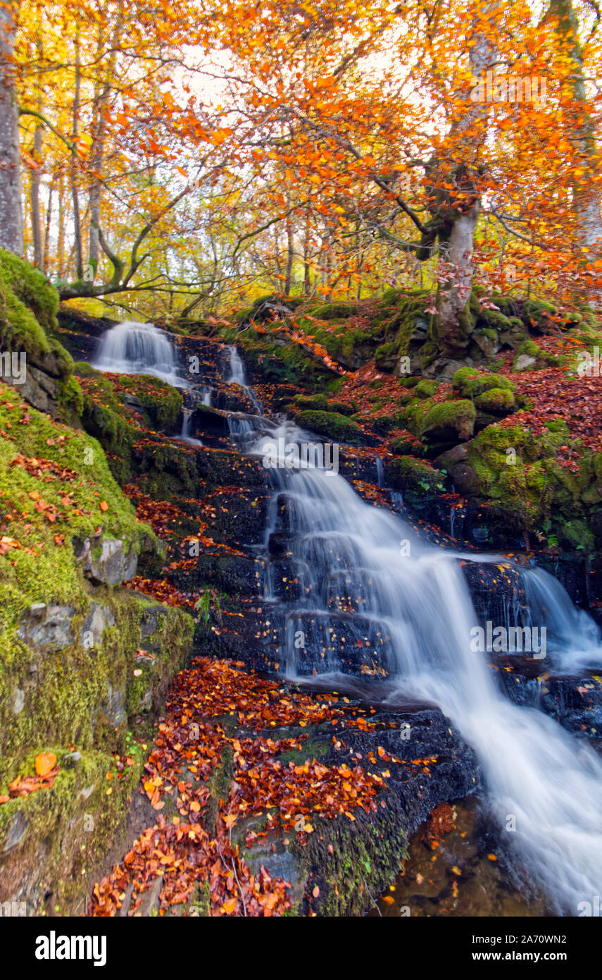 The Birks of Aberfeldy Stock Photo