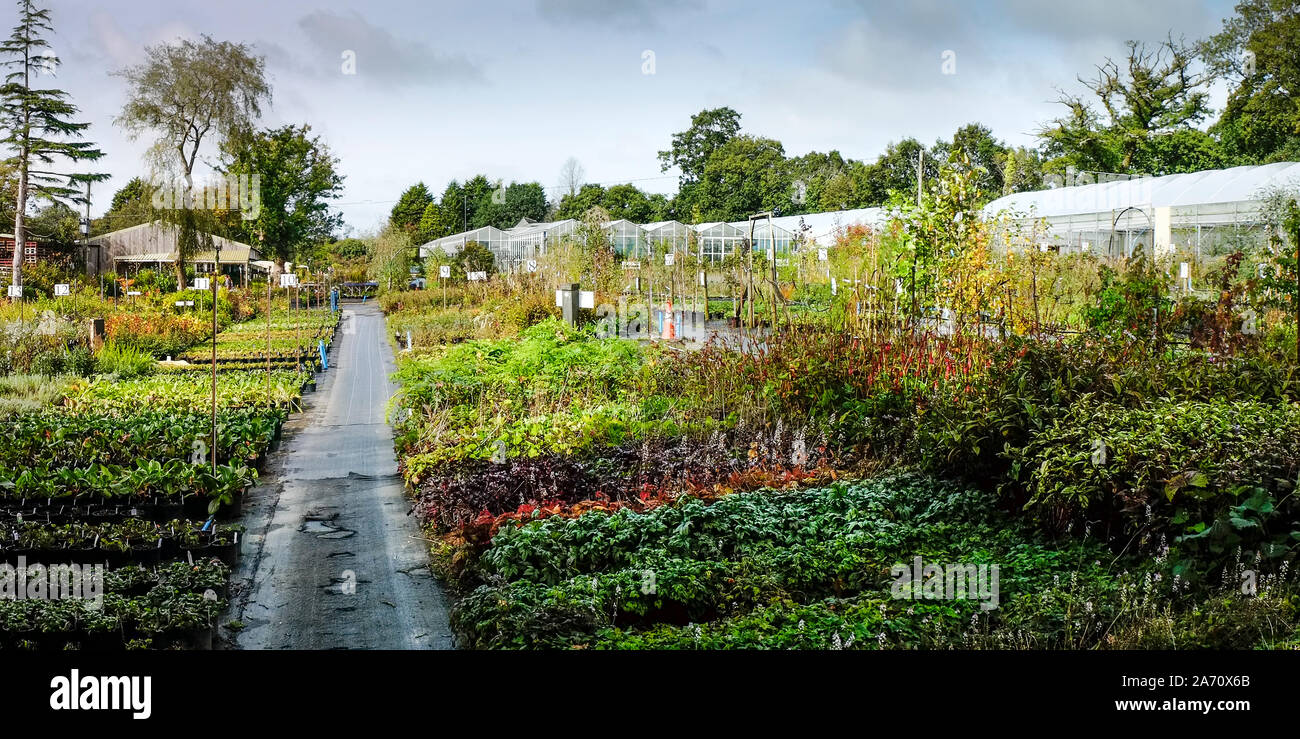 Large garden hi-res stock photography and images - Alamy