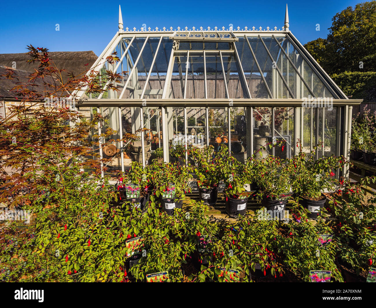 greenhouse conservatory garden Stock Photo Alamy