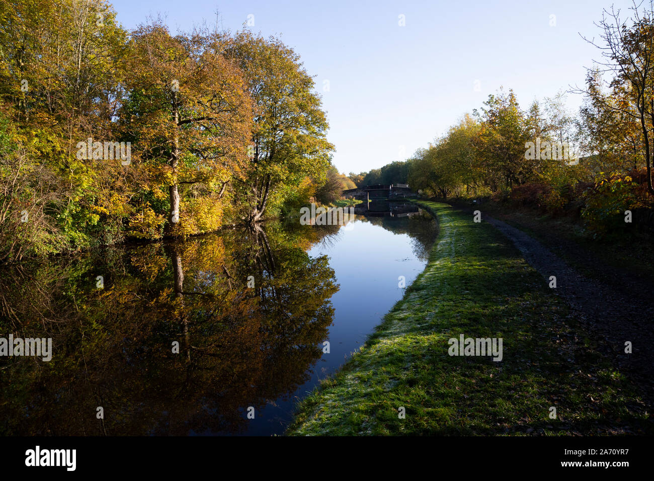Colourful Autumn trees and foliage alongside the Calder & Hebble canal on a cold calm late October day near Mirfield, West Yorkshire, England Stock Photo
