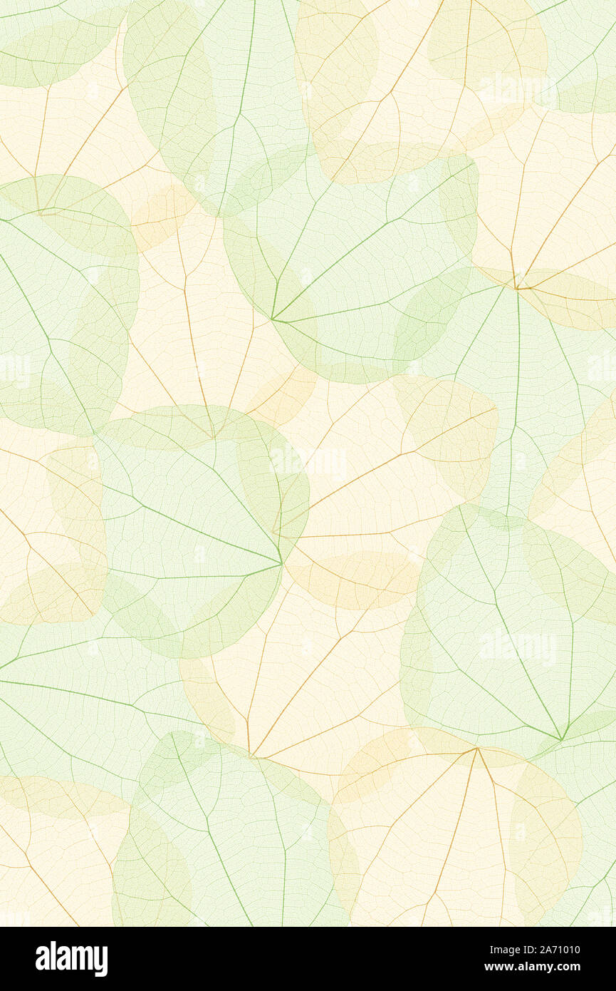 Green and yellow transparent leaves background Stock Photo - Alamy