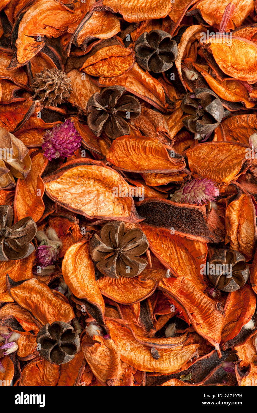 Orange seed pod hires stock photography and images Alamy