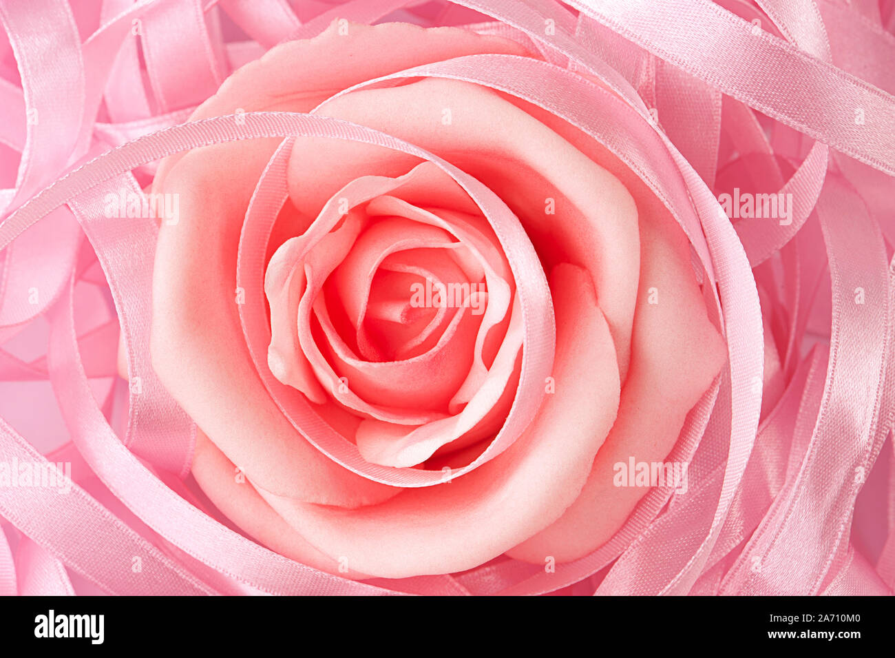 Pink colored ribbon hi-res stock photography and images - Alamy