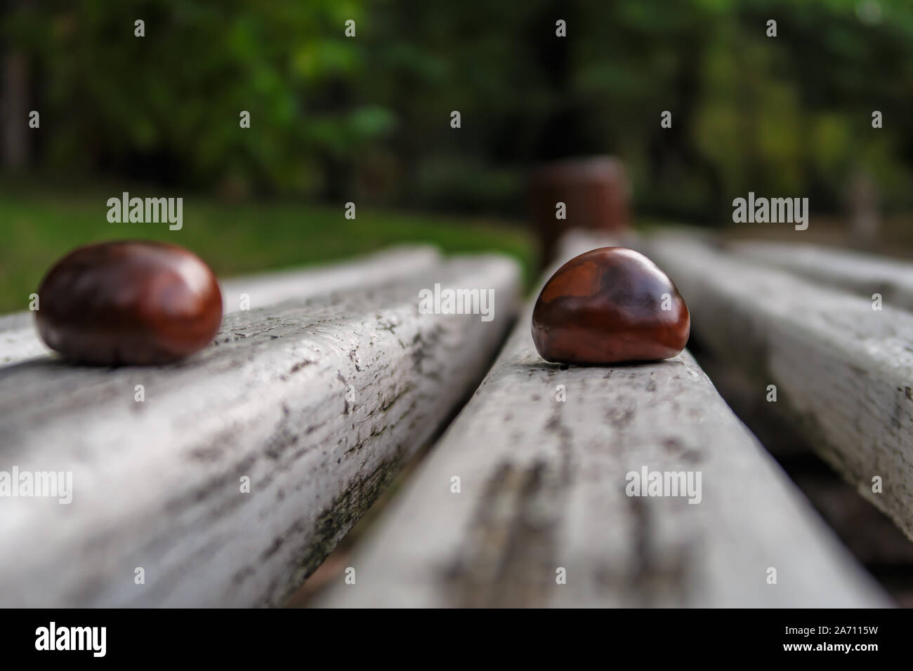 Chestnuts on planks Stock Photo