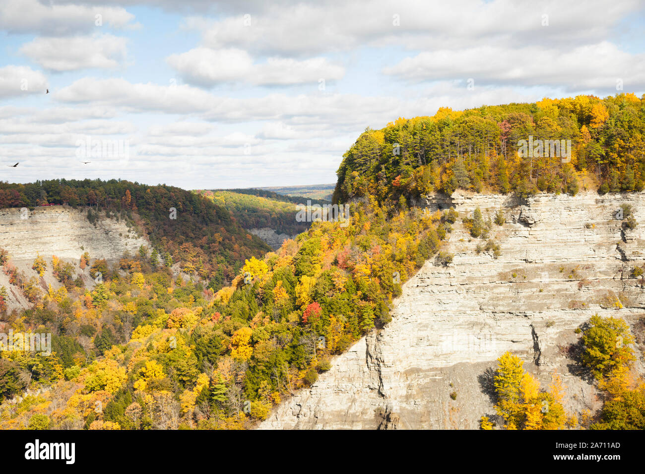 Autumn leaves and scenery at Letchworth State Park in upstate New York Stock Photo