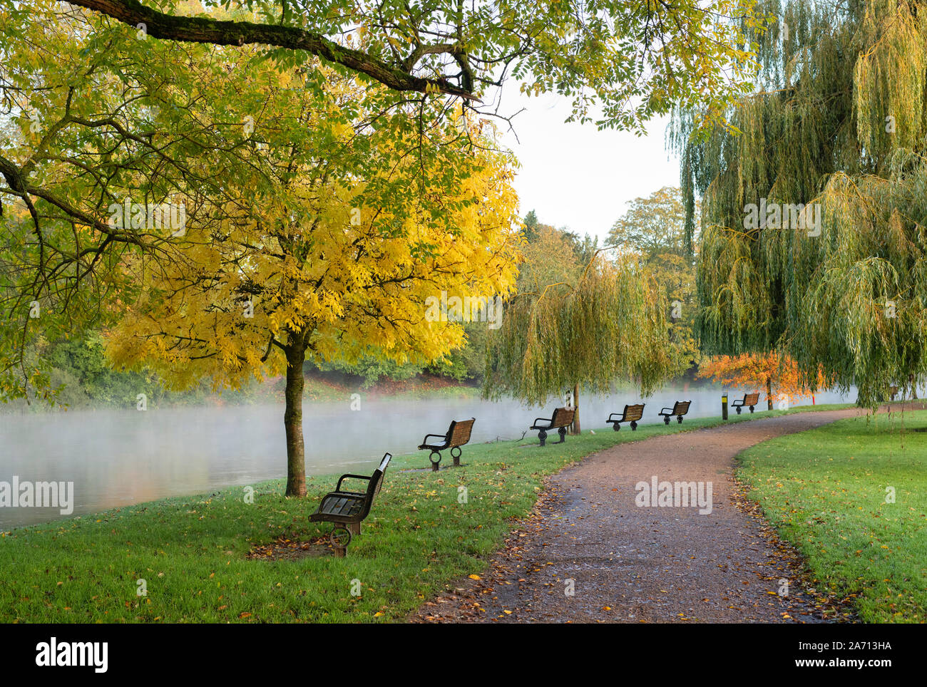 Autumn trees along a flooded river avon on an autumn morning. Stratford Upon Avon, Warwickshire, England Stock Photo