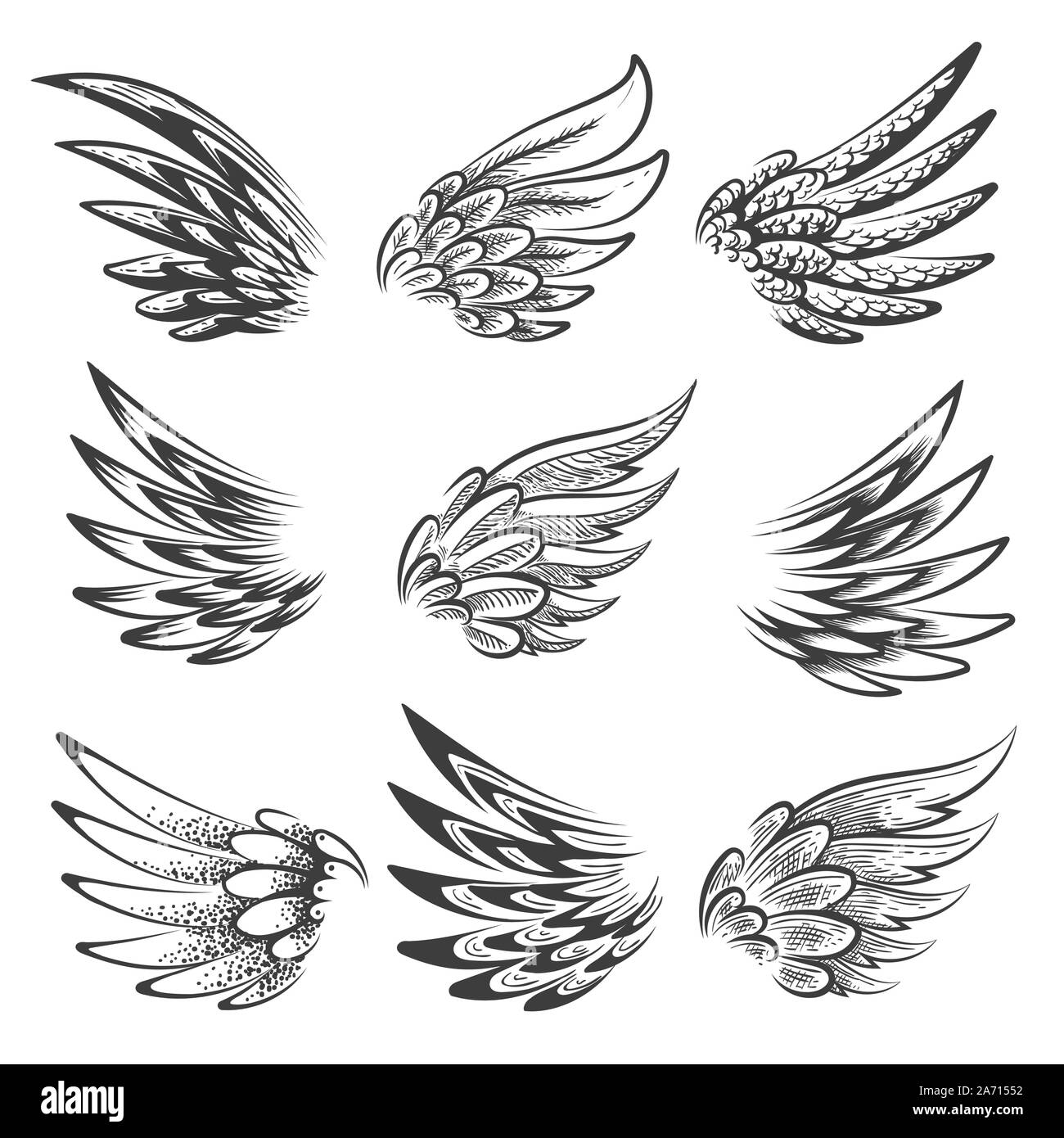 Set of hand drawn Bird Wings Logo or Emblems isolated on white. Vector